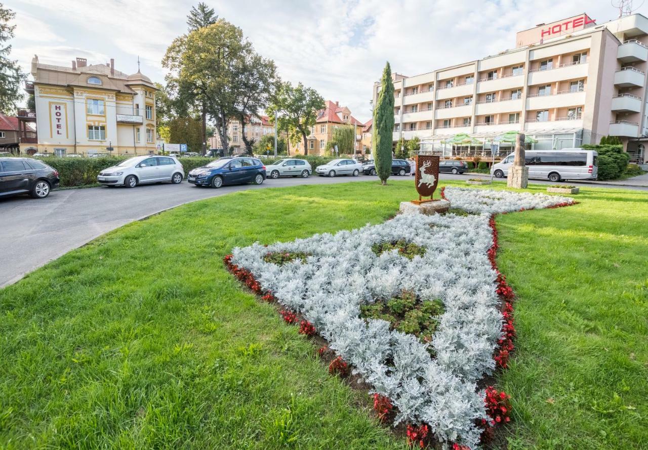 Hotel Bella Jelenia Góra Eksteriør billede
